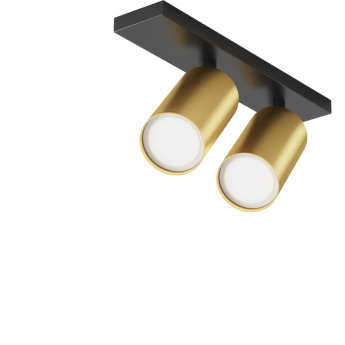 Потолочный светильник MAYTONI FOCUS S C051CL-U-02BMG